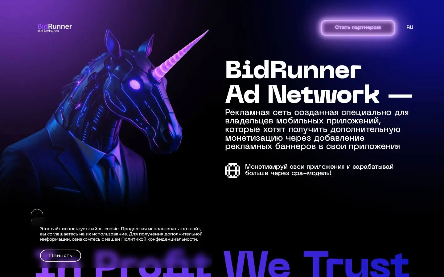 Screenshot of Ad Network Bidrunner (ad-network-bidrunner.com)