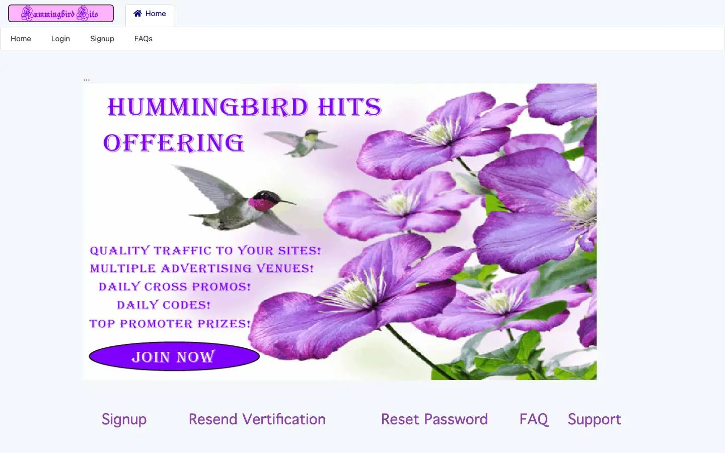 Screenshot of Hummingbird Hits (hummingbirdhits.com)