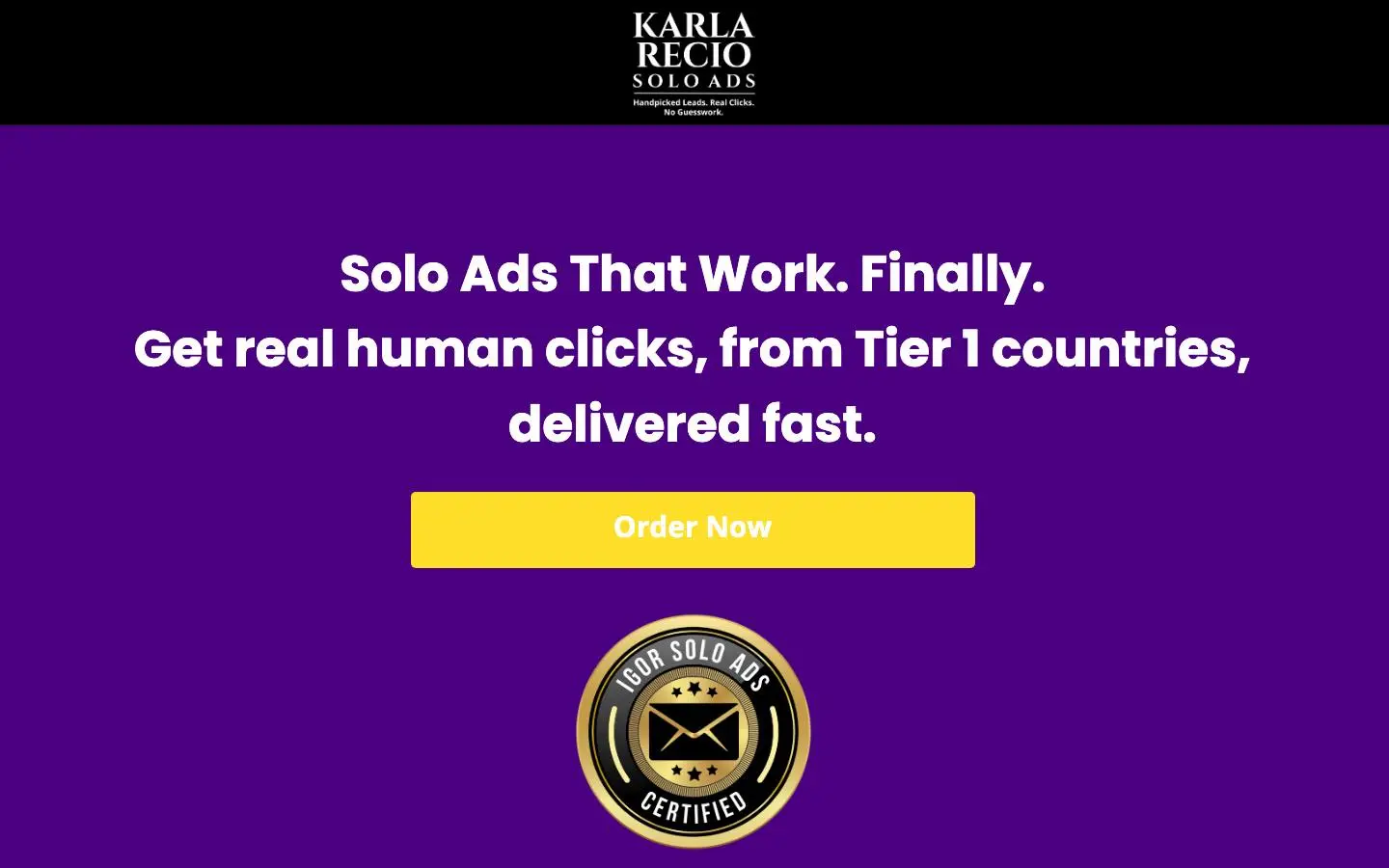 Screenshot of Karla Recio Solo Ads (karlareciosoloads.com)
