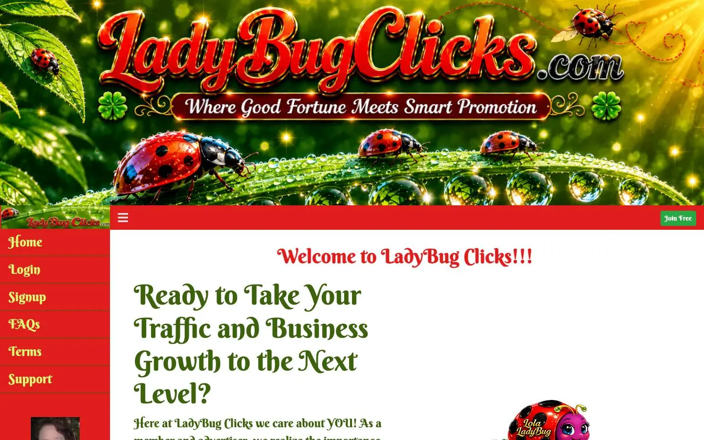 Screenshot of Lady Bug Clicks (ladybugclicks.com)