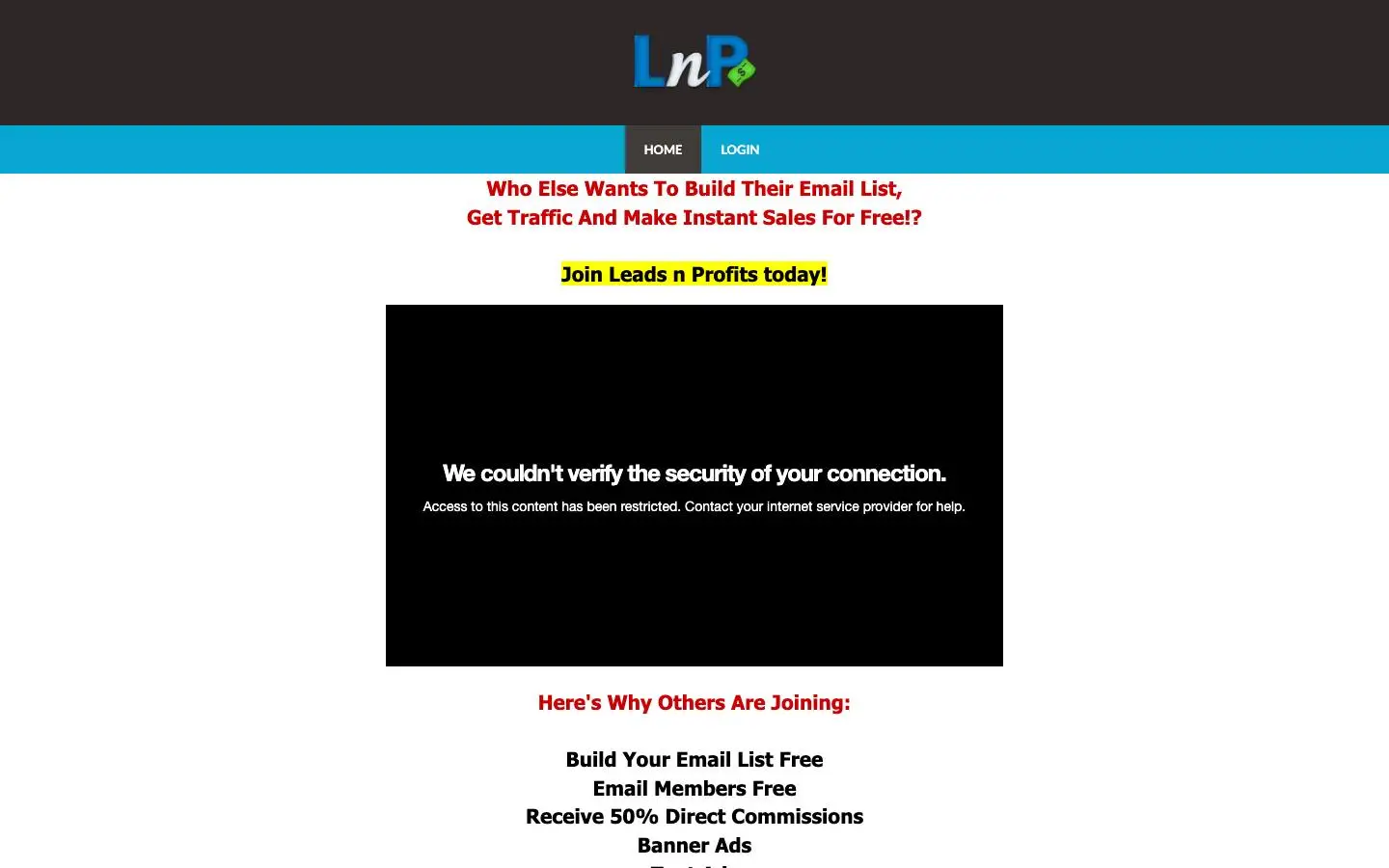 Screenshot of Leads N Profits (leadsnprofits.com)