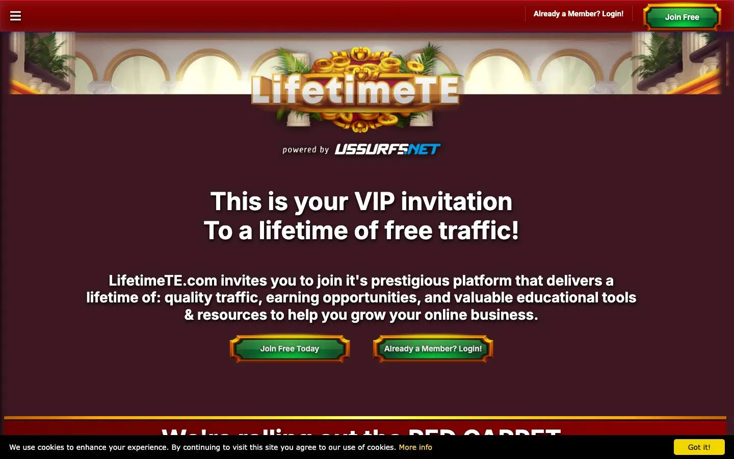 Screenshot of Lifetime TE (lifetimete.com)