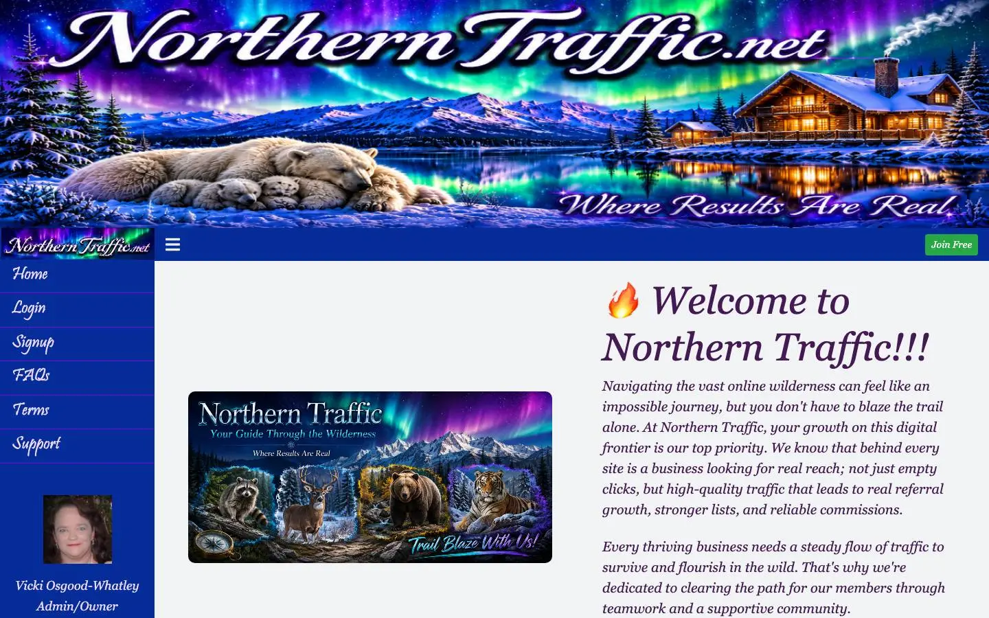 Screenshot of Northern Traffic (northerntraffic.net)