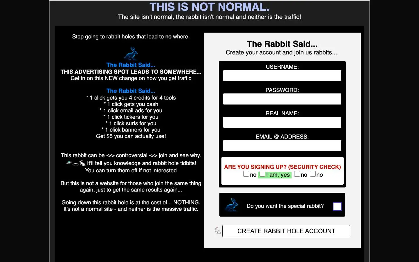 Screenshot of Rabbit Hole Traffic (rabbitholetraffic.com)