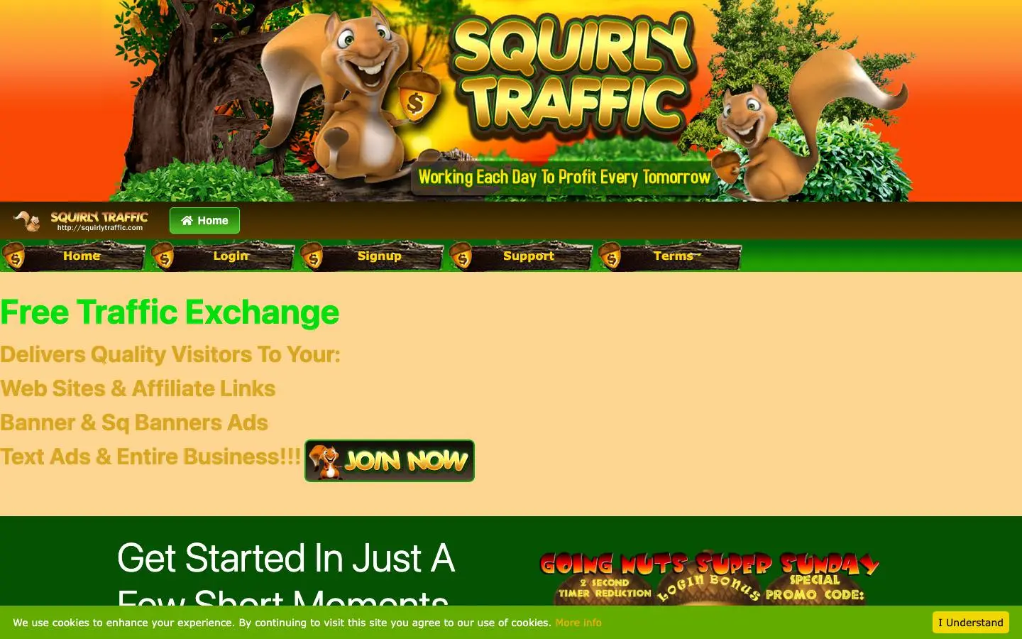 Screenshot of Squirly Traffic (squirlytraffic.com)
