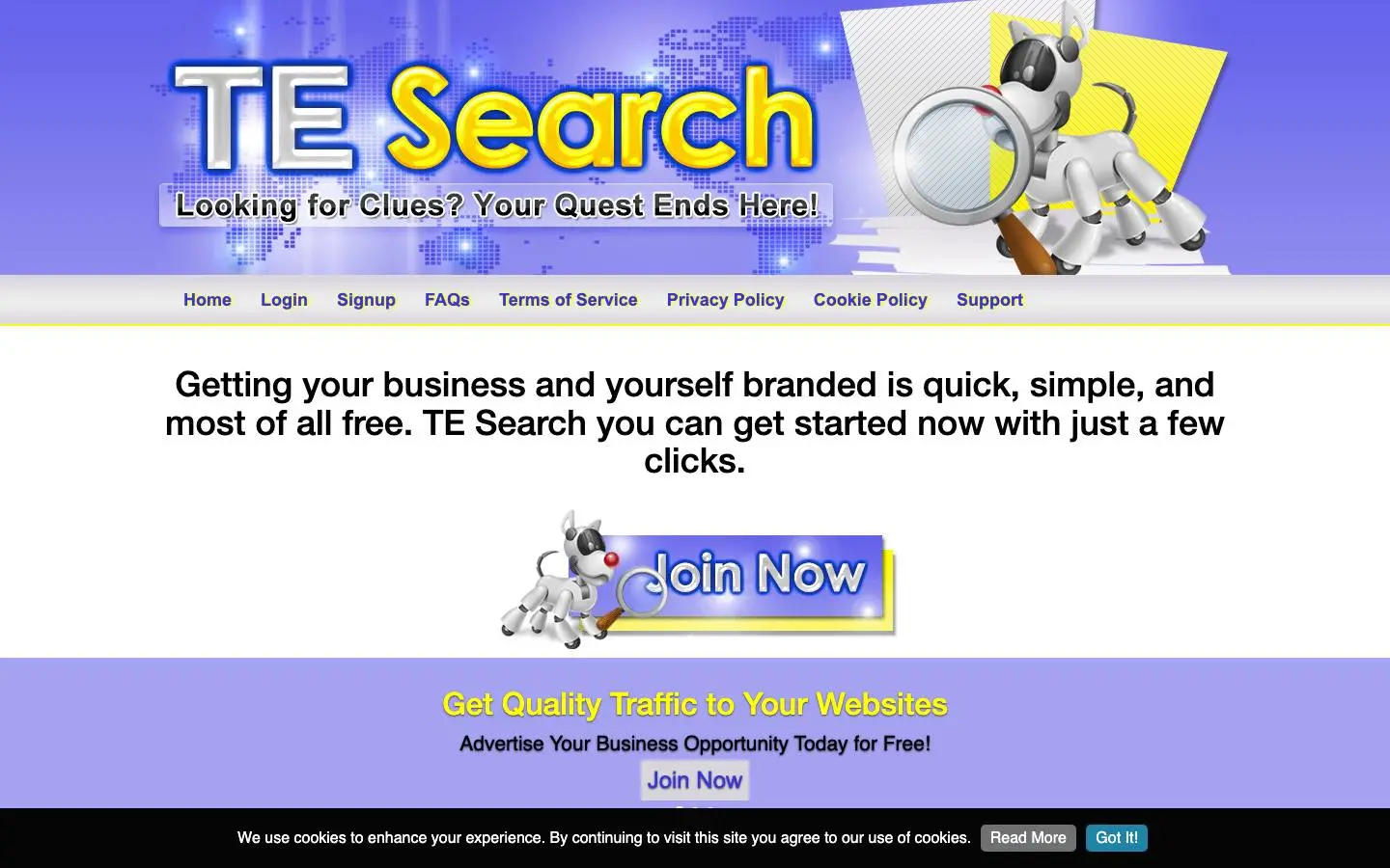 Screenshot of TE Search (tesearch.com)