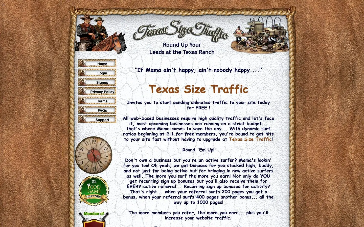 Screenshot of TexasSizeTraffic (texassizetraffic.com)