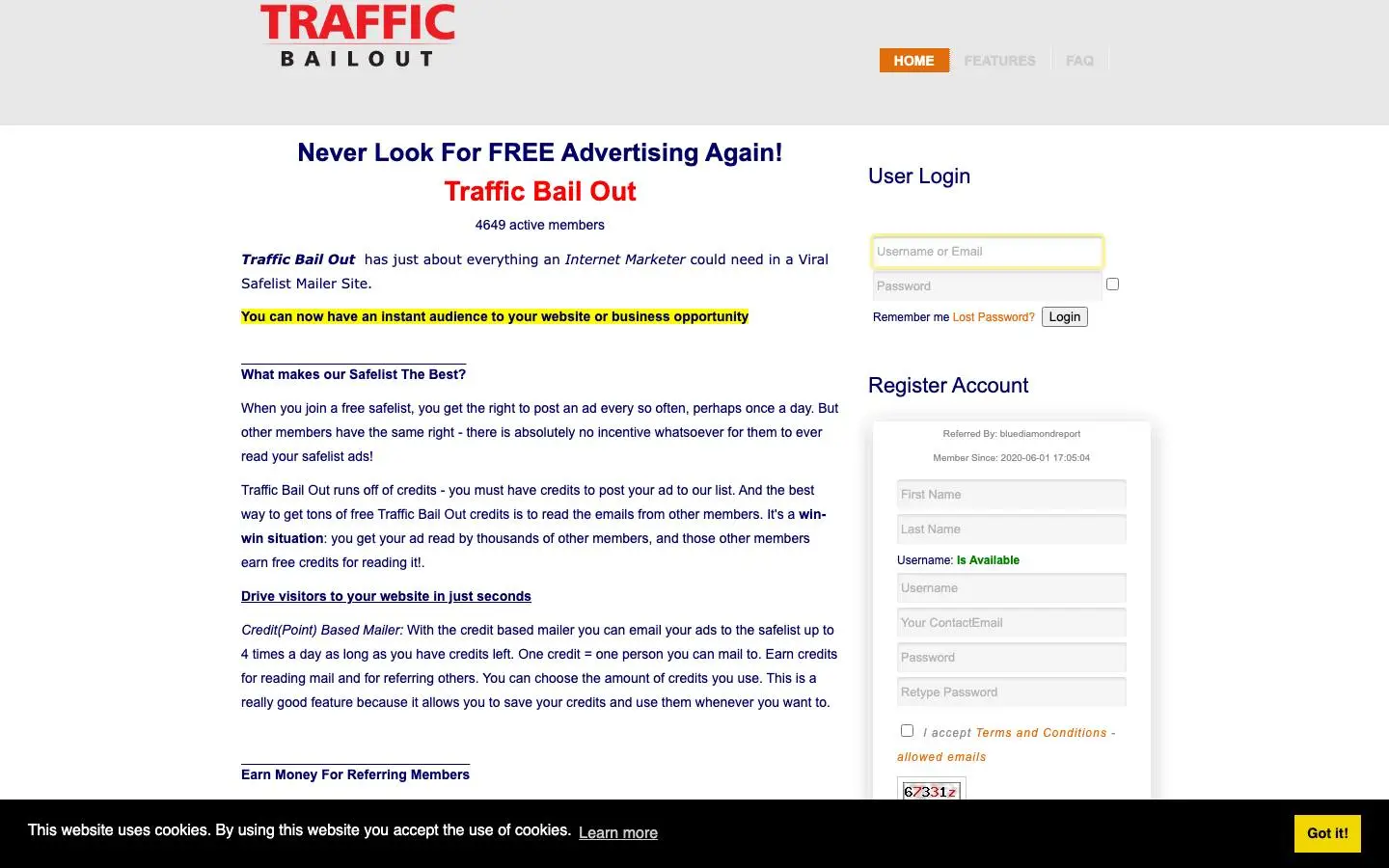 Screenshot of Traffic Bail Out (trafficbailout.com)