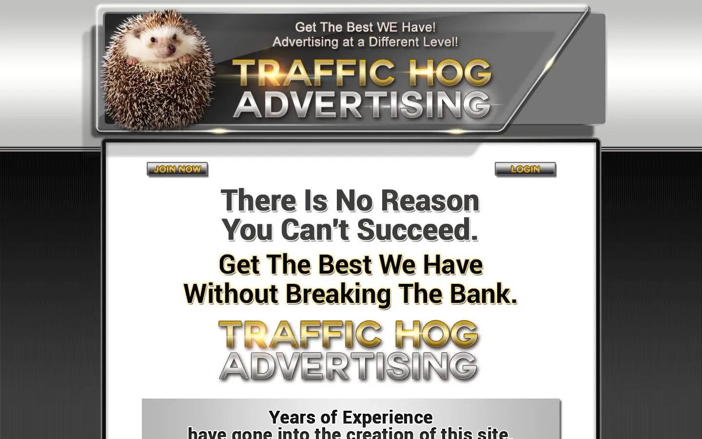 Screenshot of Traffic Hog Advertising (traffichogadvertising.com)