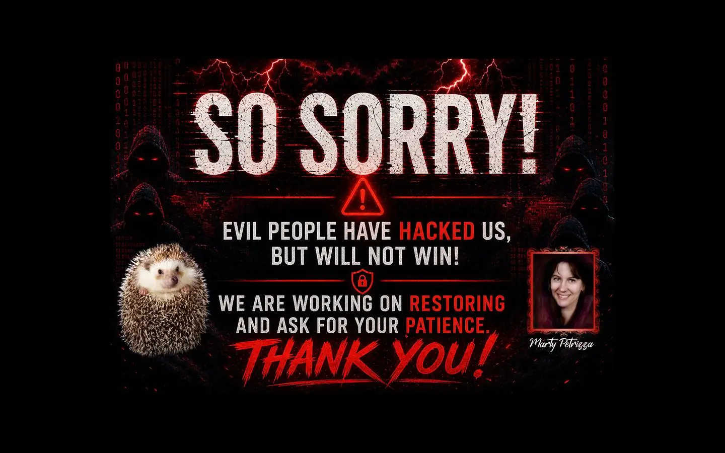 Screenshot of SorryPage (websitetrafficgames.com)